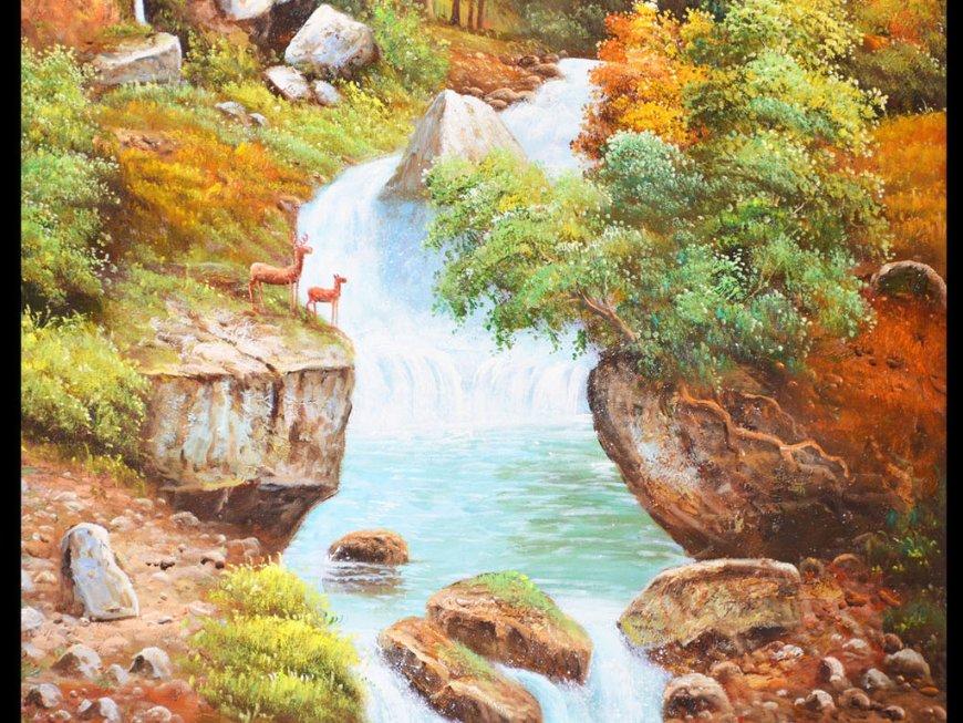 救援受困的火鸡